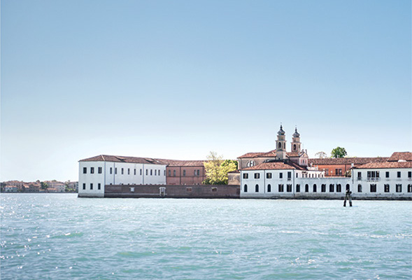 About Venice International University